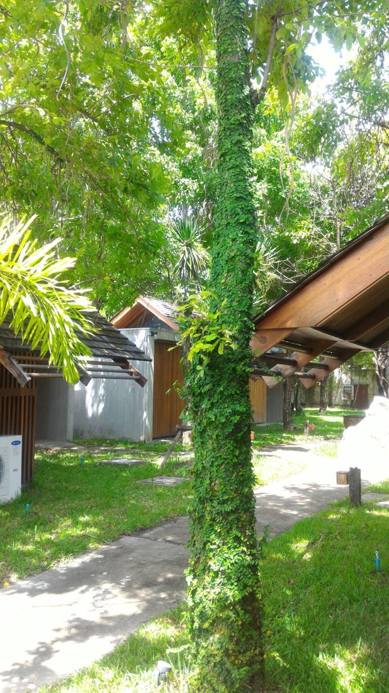 Into The Forest Resort Bangkok Eksteriør bilde